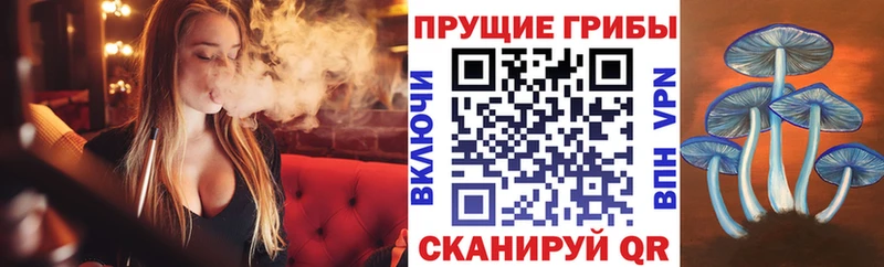 Галлюциногенные грибы мухоморы  Купить где  Нурлат 