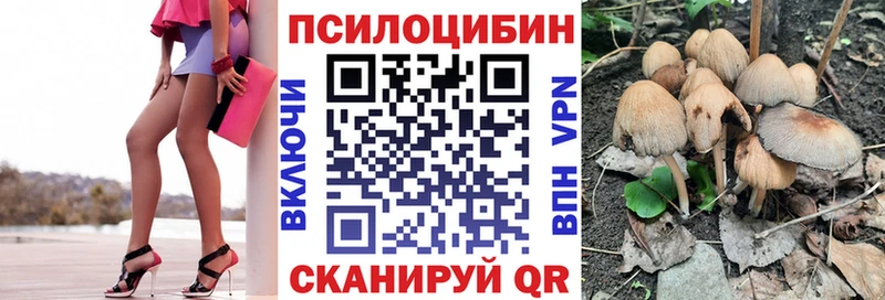 Галлюциногенные грибы Psilocybine cubensis Нурлат